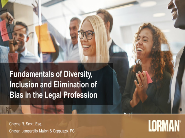 Fundamentals of Diversity and Inclusion and Elimination of Bias in the Legal Profession