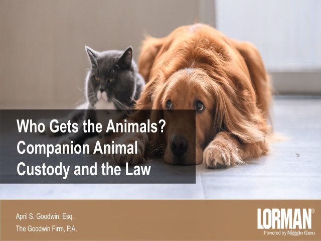 Who Gets the Animals? Companion Animal Custody and the Law
