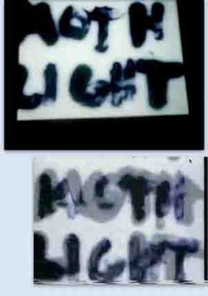 Perry Bard, Mothlight Distributed, 2013 . Image #1179