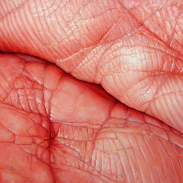 Edie Nadelhaft, Flesh Field No.2 , 2010. Image #1255