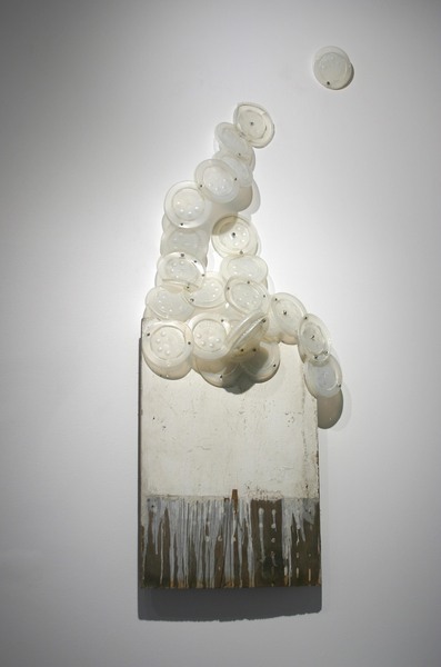 Tyrome Tripoli, White Drip Cap Tail , 2008 . Image #1566