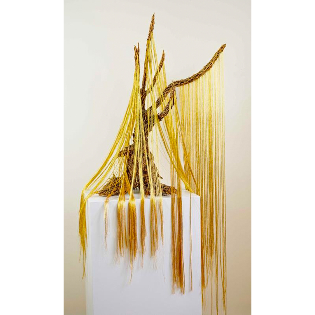 Dana Melamed, Golden Willow – In The Heart of Fire Sanctuary Blooms, 2024