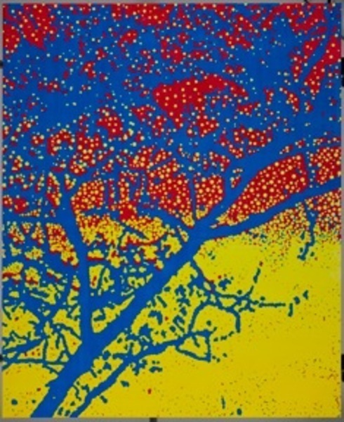 Juan Jose Cambre, YMC, 2010. Image #359