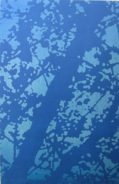 Juan Jose Cambre, Estampa (Azul Ceruleo Profundo), 2010