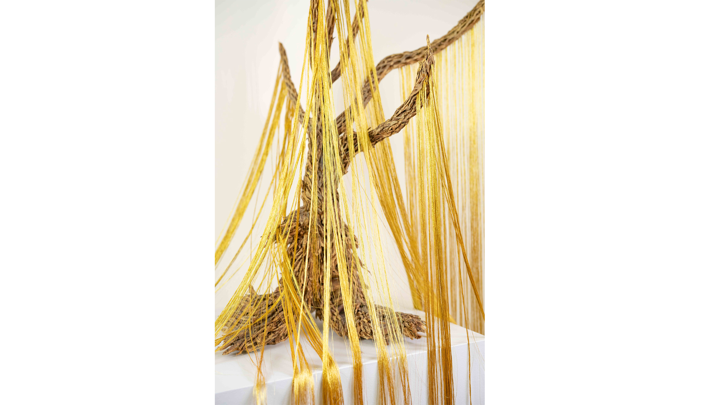 Material Witness. Image #1757