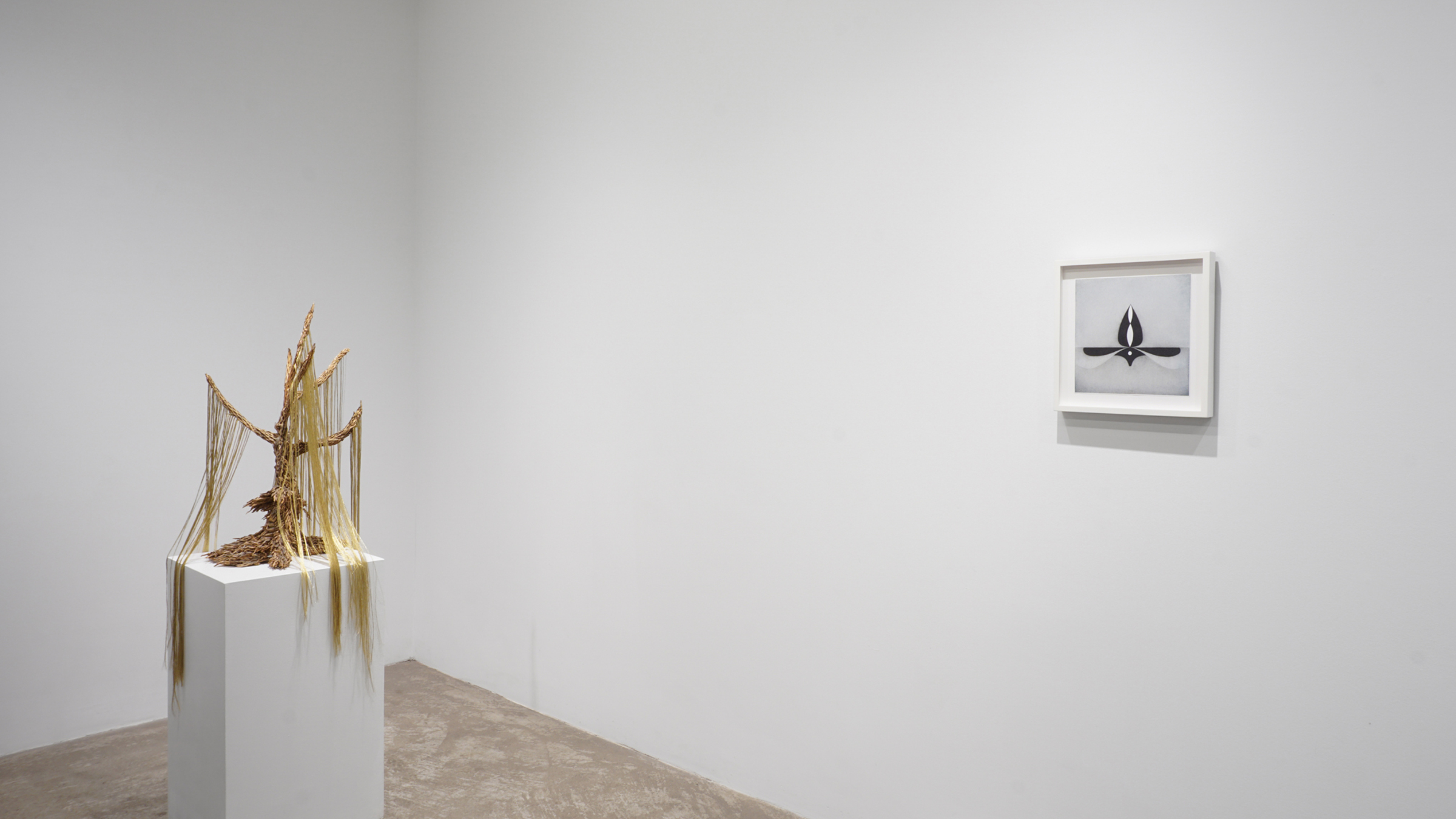 Material Witness. Image #1769