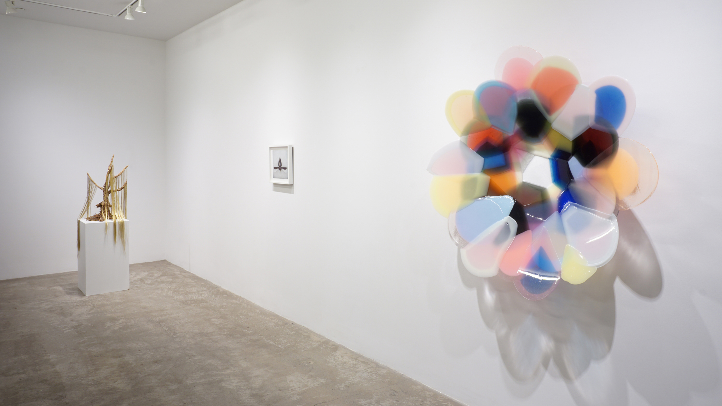 Material Witness. Image #1774