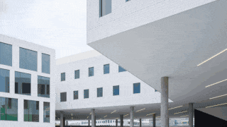 CopyofPeterscopyofLineaSeries-ezgif.com-optimize.gif