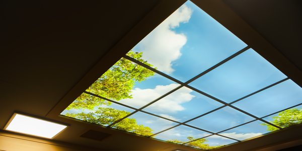 LEDLightPanel(1).png