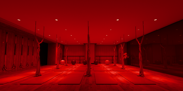 Red_Light_Yoga_LEX_Banner.png