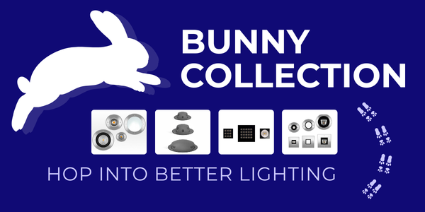 Bunny.png