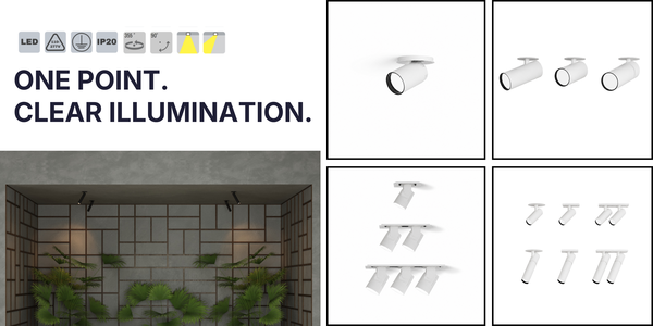 BYIBA_-_Monopoint.png