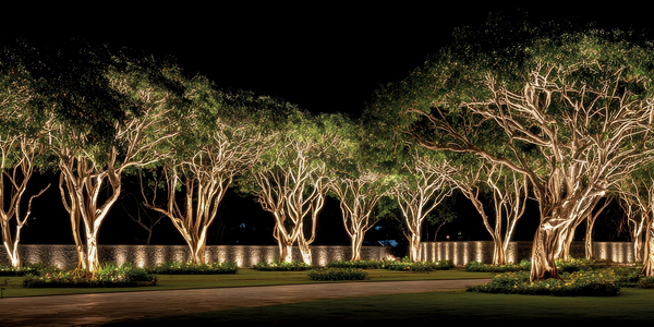 TUSA_Lighting_Exchange_Ad_Banner-Ingrade2.jpg