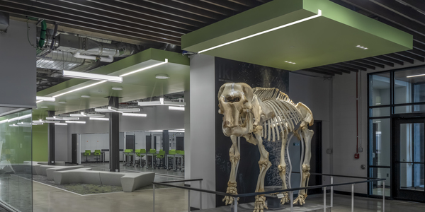 Wayne-State-University_Fluxwerx_1_2545x1670.jpg