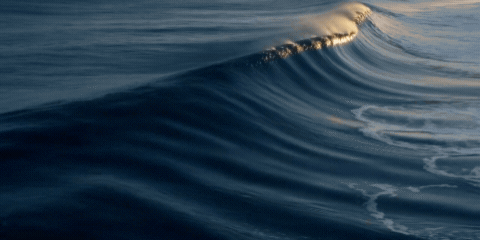 banner_sep_(3).gif