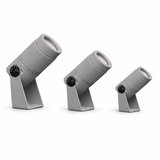 Rayz product page