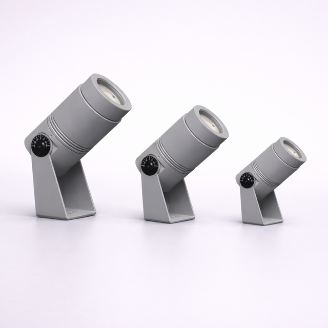 Rayz product page