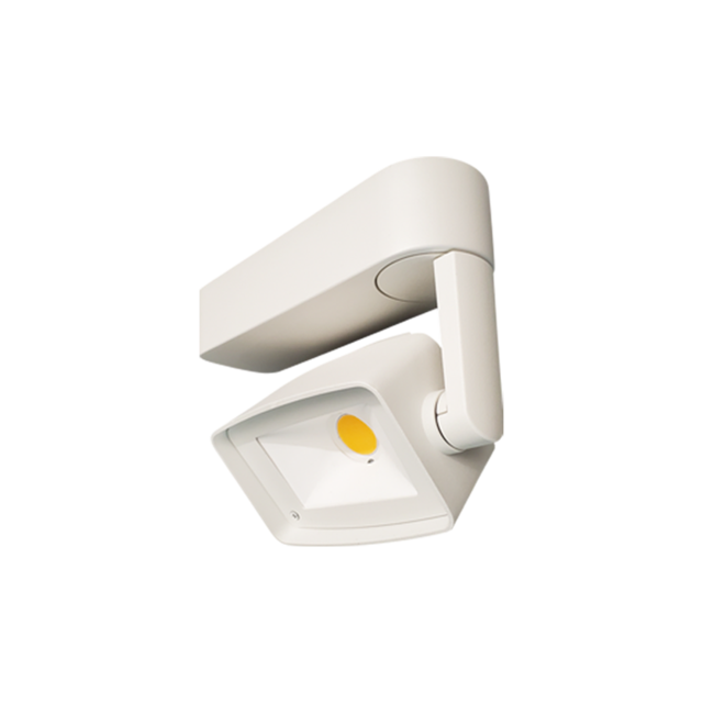 DWW product page