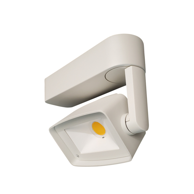 DWW product page
