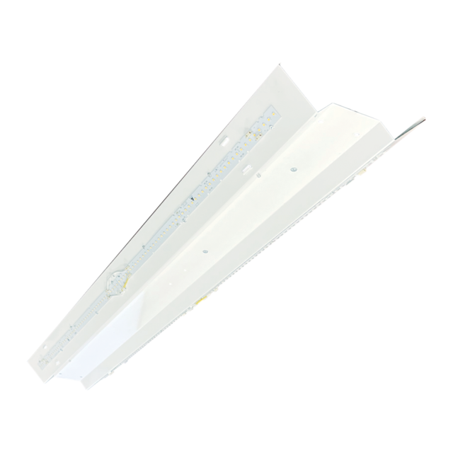 RHBS100 product page