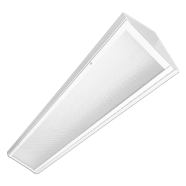 ANG205 product page
