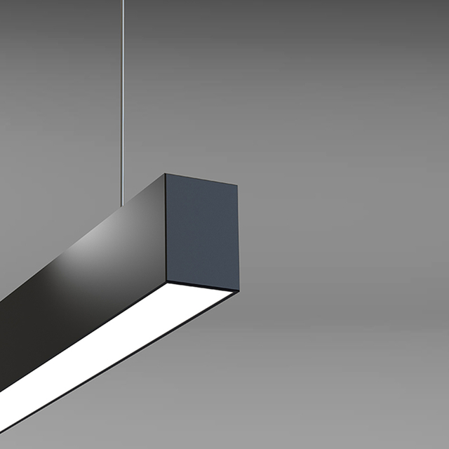 ED VECTOR+ product page