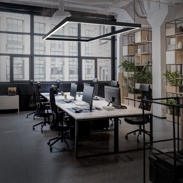 BLS2 Pendant Downlight