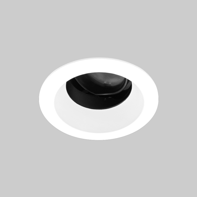 Hornet 2.5" Round Adjustable Downlight product page