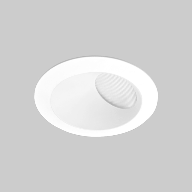 Hornet 2.5" Round Wall Wash product page