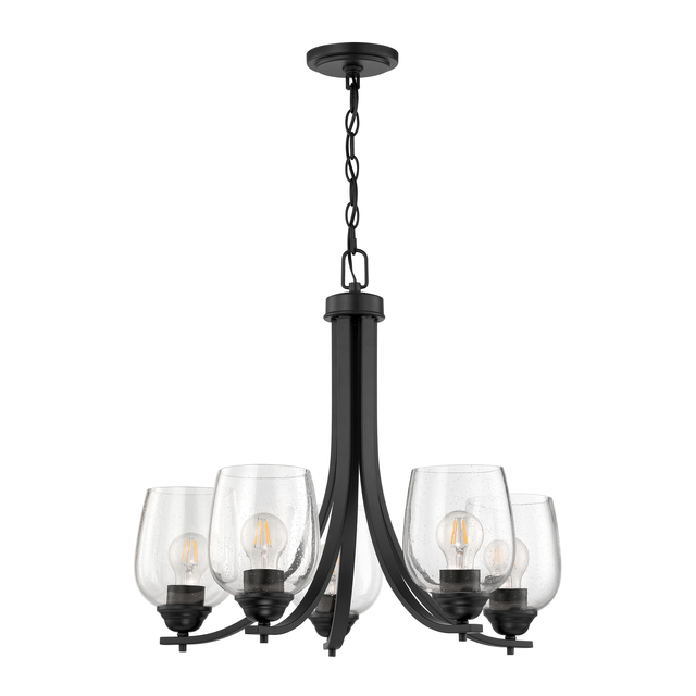 AMN-CH-5 product page