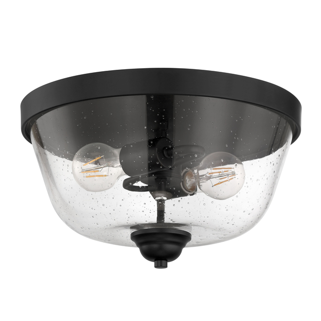AMN-FM-2 product page