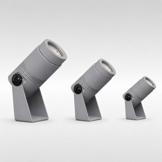 Rayz product page