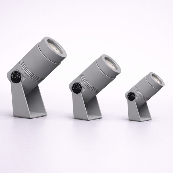 Rayz product page