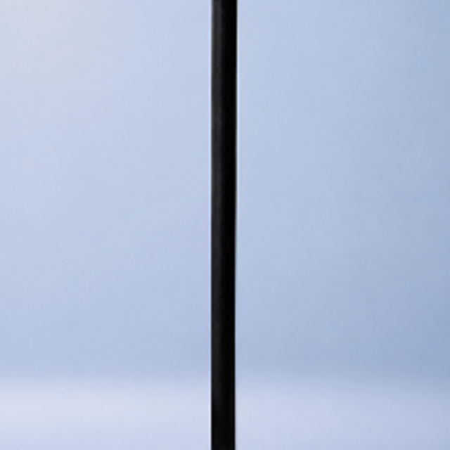 FEBI product page