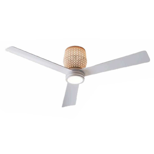 Aella product page