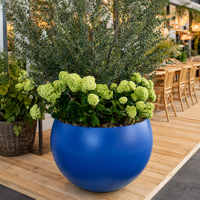 VASO product page