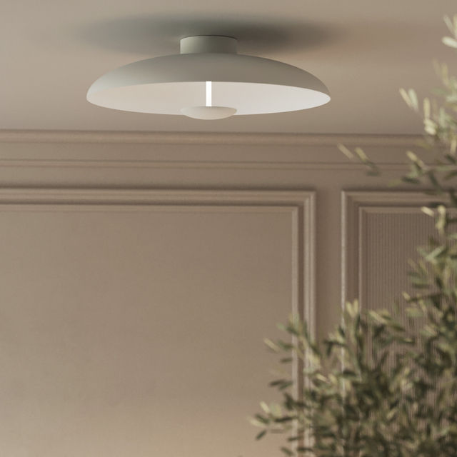 Jelly Fish (Surface - Mounted ) product page