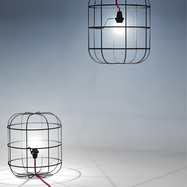 La Cage product page