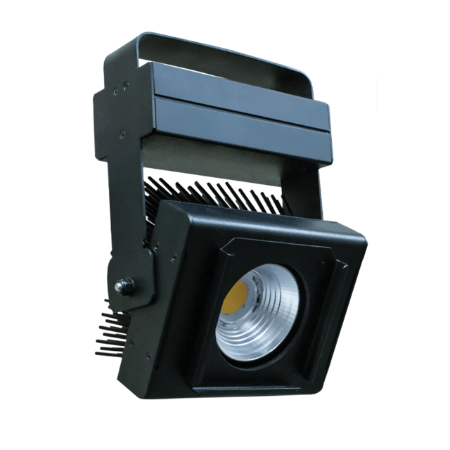 WL81 product page