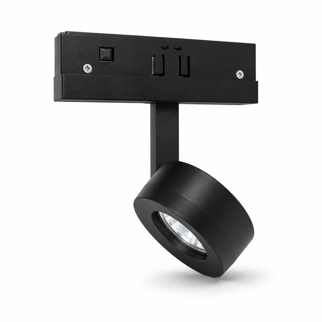 SCEIP product page