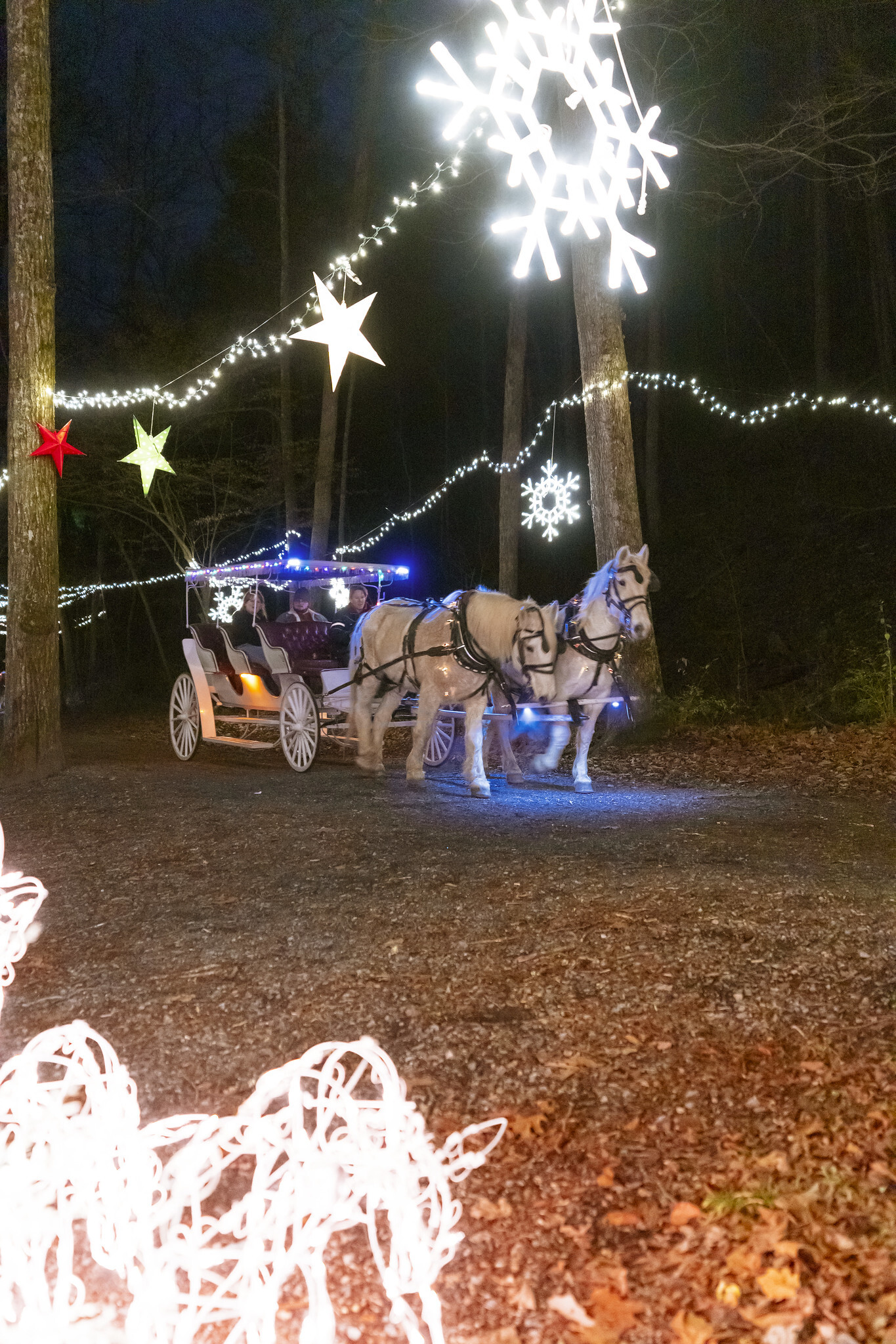 Luminary Nights and Carriage Rides at Natural Bridge State Park