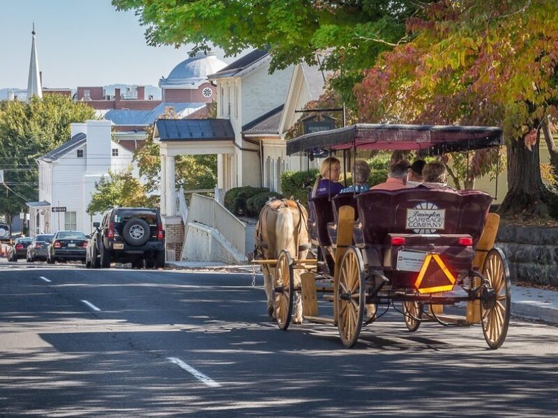 Carriage Ride Lexington Steve Shires 6