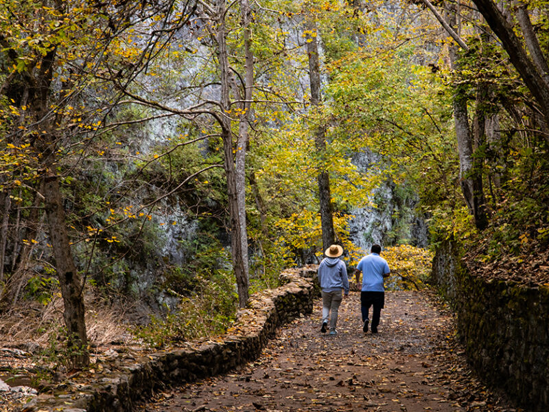 NBSP Native 1200x628