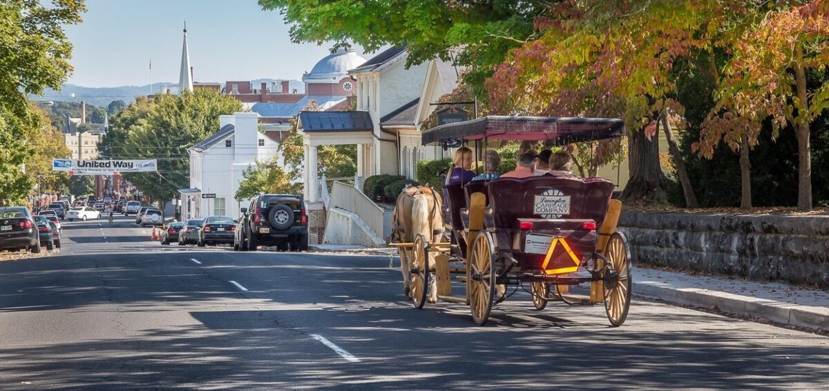 Carriage Ride Lexington Steve Shires 6