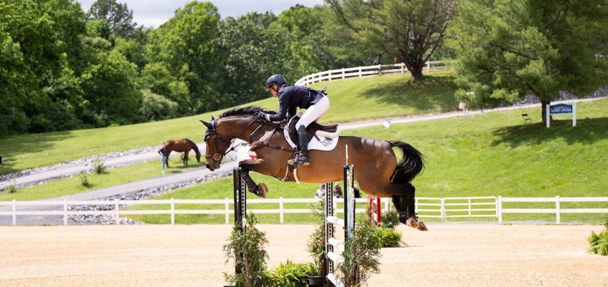 Virginiahorsecenterfoundation Instagram 3885 ig 18054288458527851