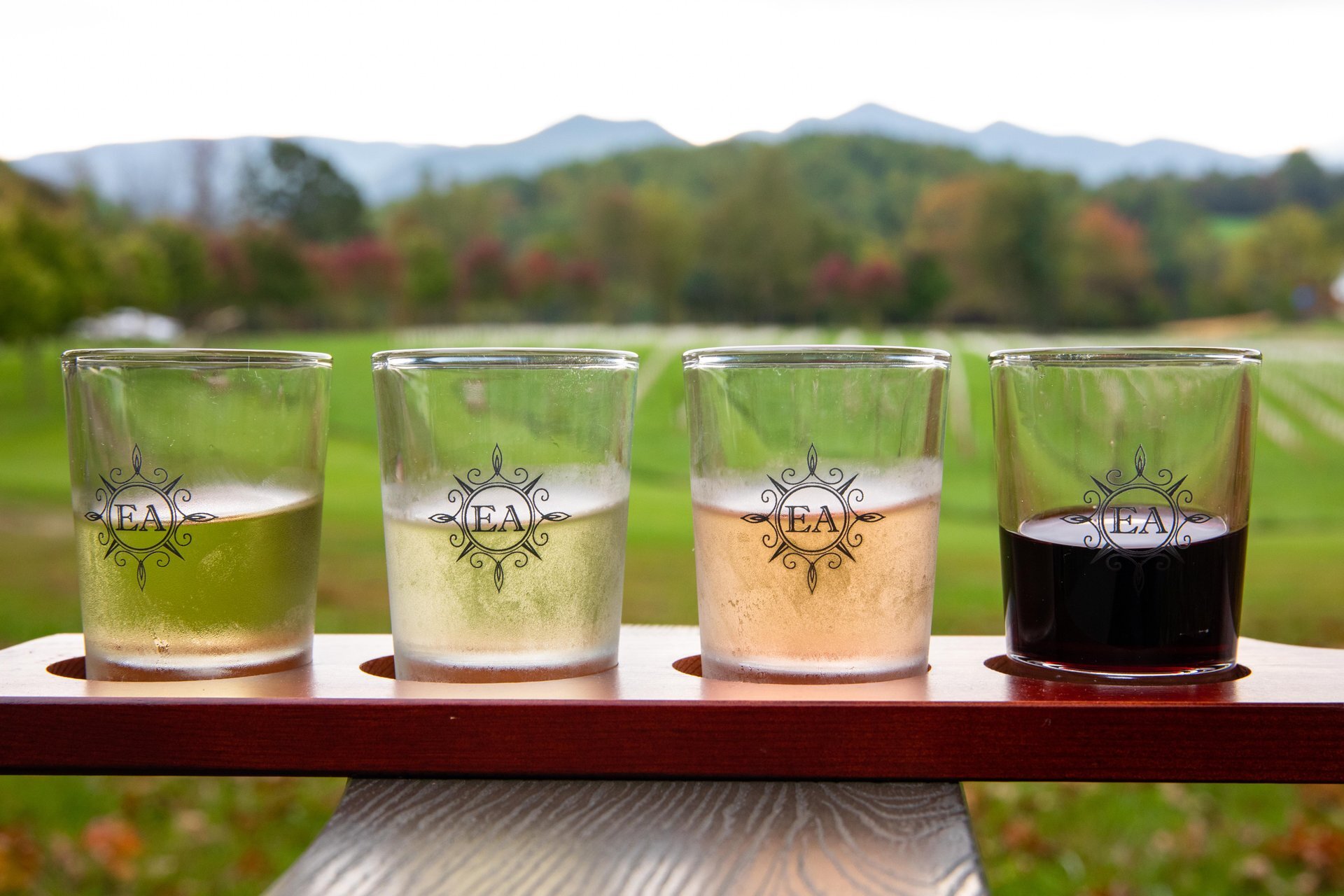 Art and Wine Fest at Ecco Adesso Vineyards