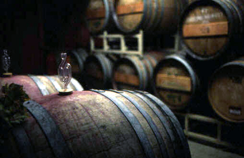 Wine Barrels