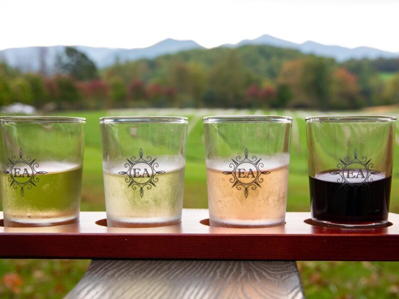 Ecco Addesso Flight Ellen Kanzinger