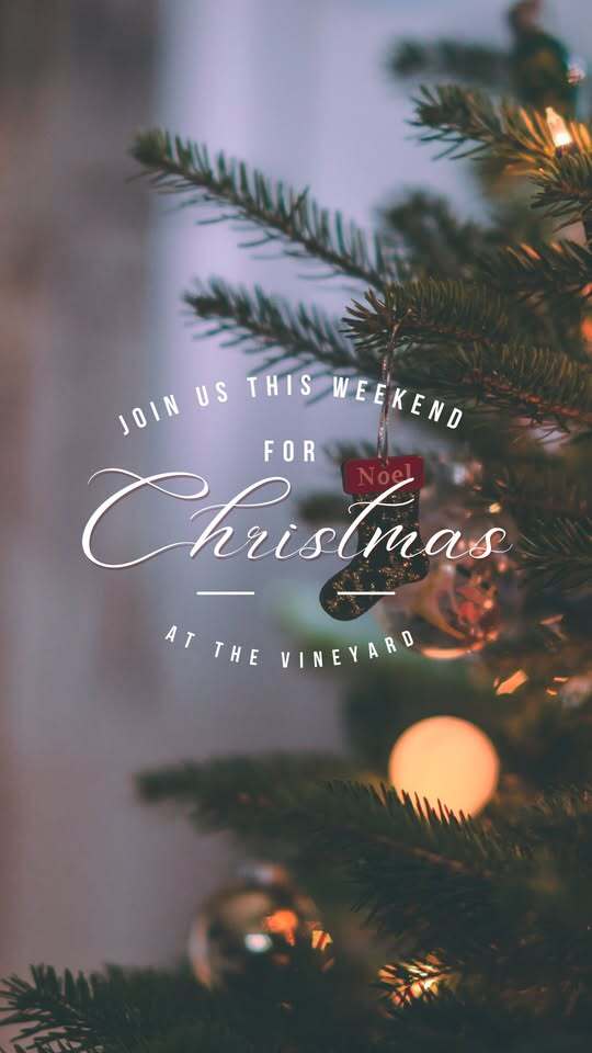 Christmas at the Vineyard: Holiday Music with Matt J