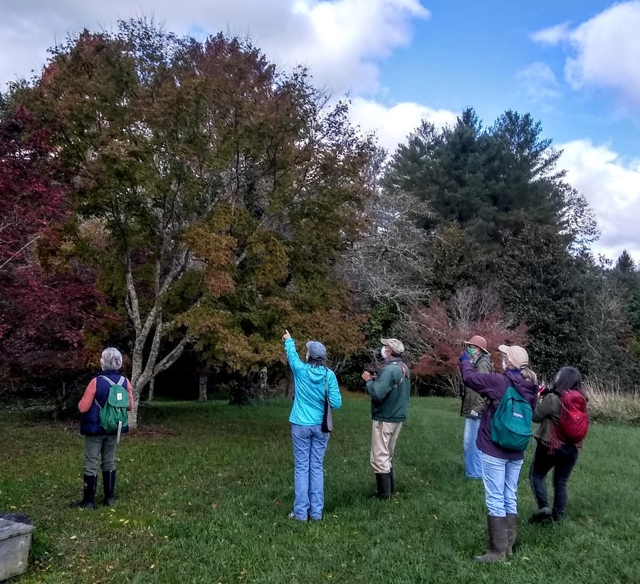 Birding at Boxerwood